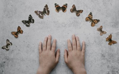 Efekt motyla – siła małych kroków